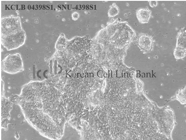 SNU-4398S1