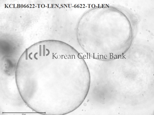 SNU-6622-TO-LEN
