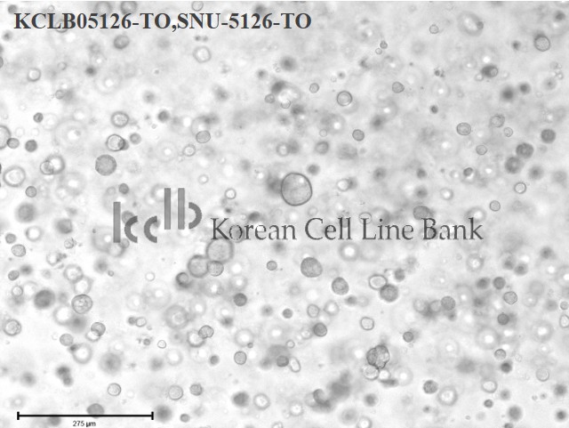 SNU-5126-TO