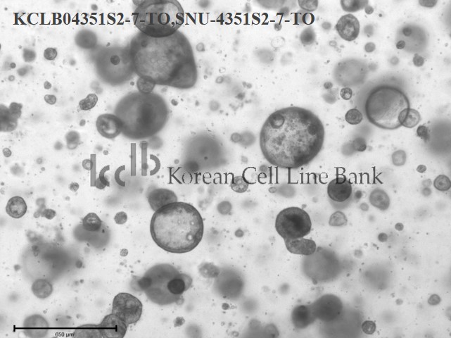 SNU-4351S2-7-TO
