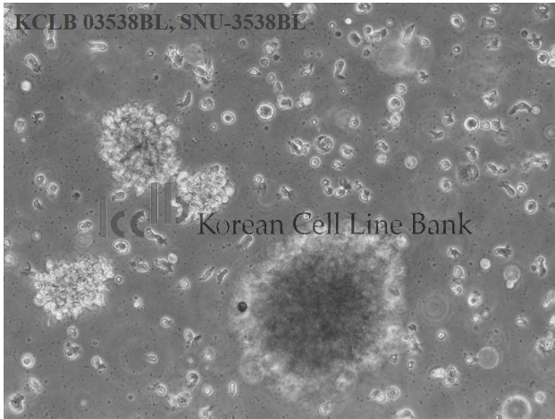 SNU-3538BL