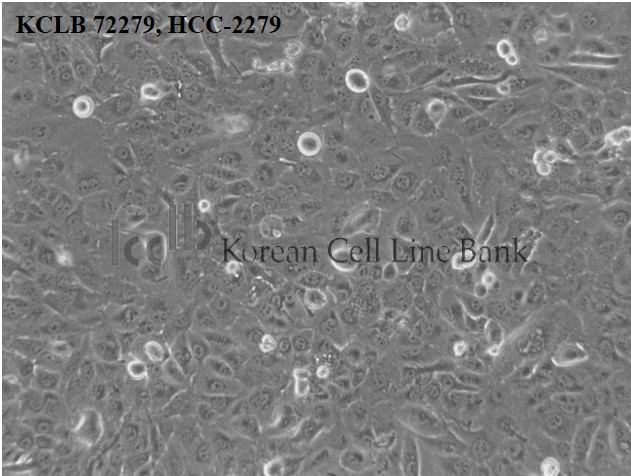 HCC-2279