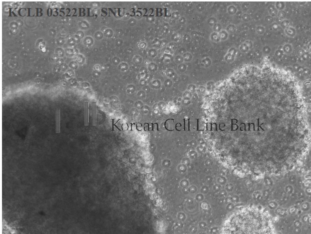 SNU-3522BL