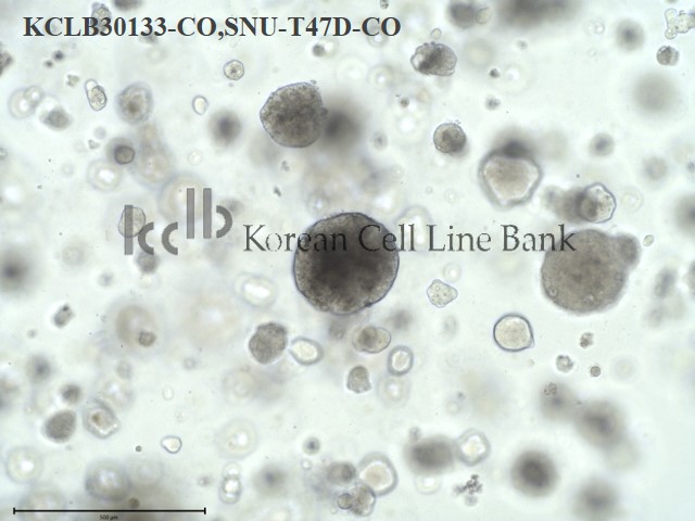 T47D-CO
