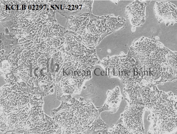 SNU-2297