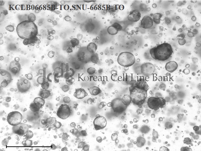 SNU-6685B-TO