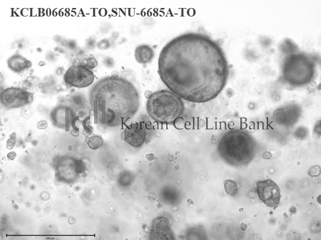 SNU-6685A-TO