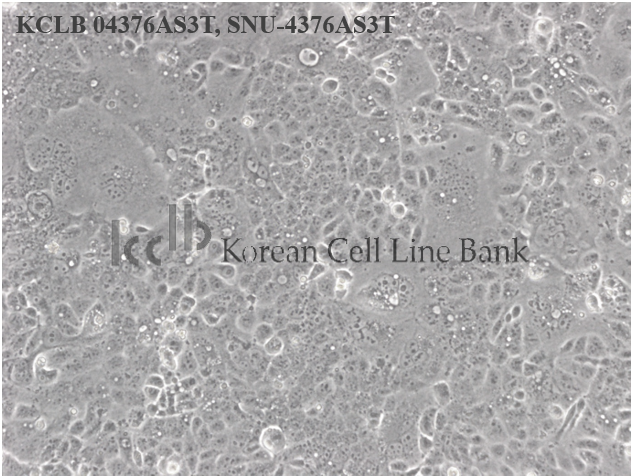 SNU-4376AS3T