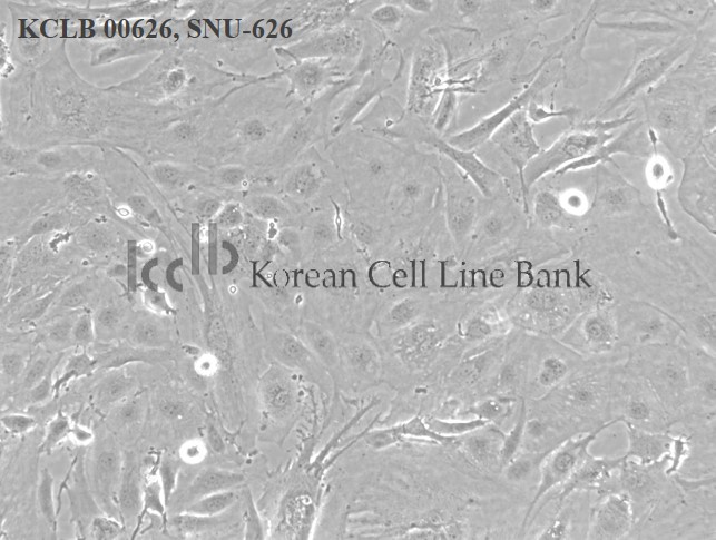 SNU-626