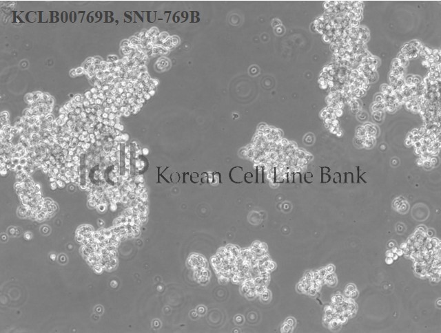 SNU-769B
