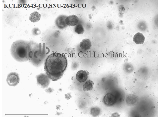 SNU-2643-CO