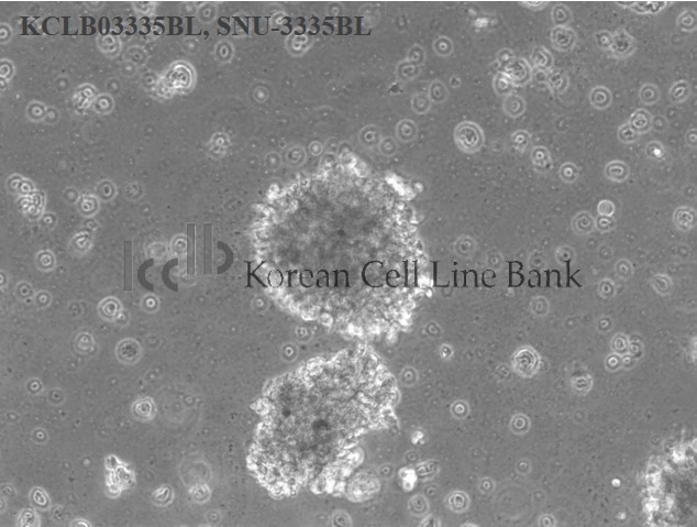 SNU-3335BL