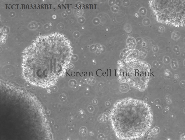 SNU-3338BL