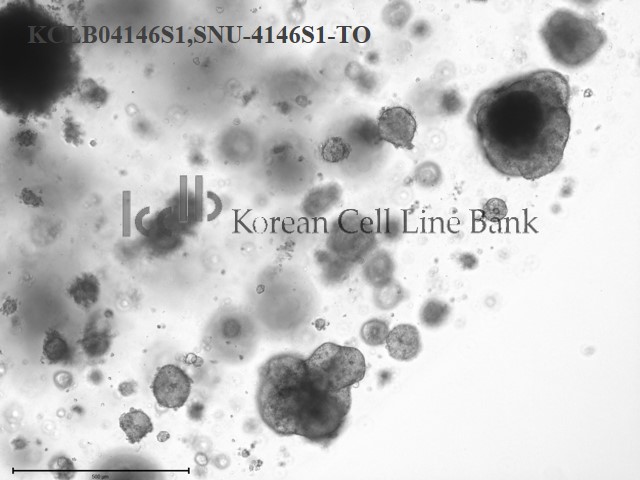 SNU-4146S1-TO