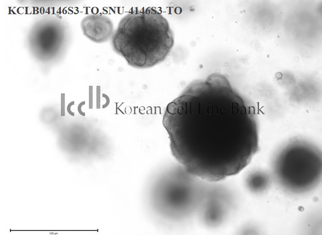 SNU-4146S3-TO