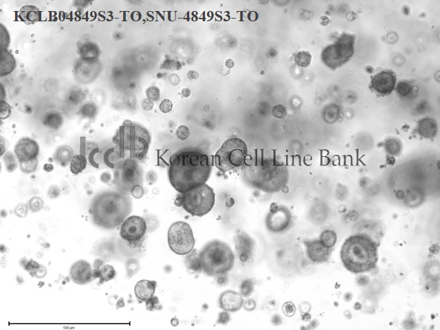 SNU-4849S3-TO