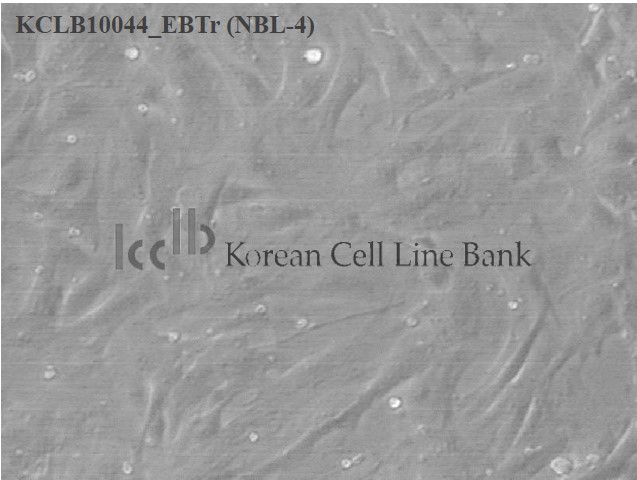 EBTr (NBL-4)