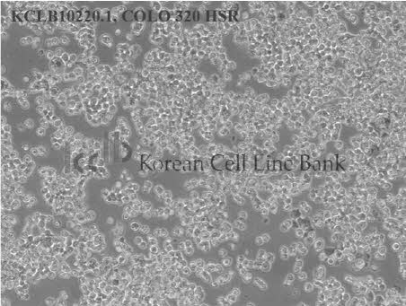COLO 320 HSR