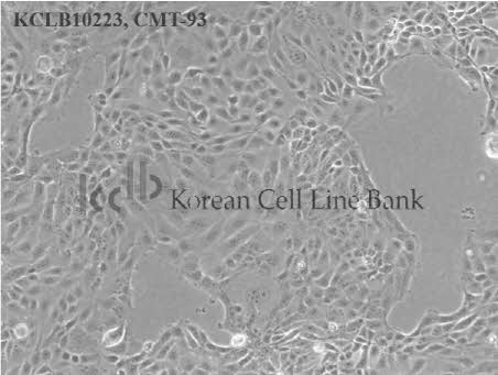 CMT-93