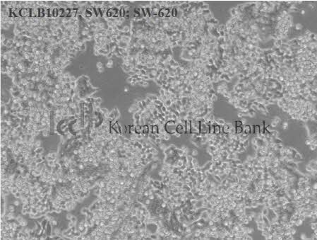 SW620; SW-620