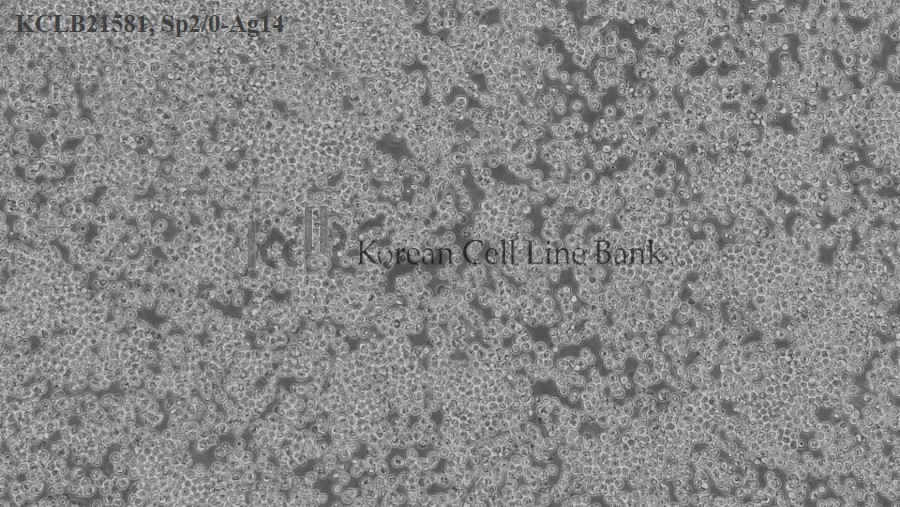 Sp2/0-Ag14