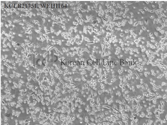 WEHI164