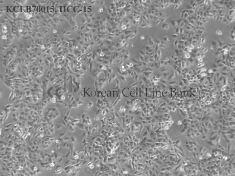 HCC-15