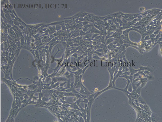 HCC-70