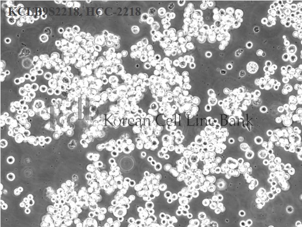 HCC-2218