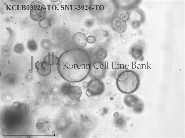SNU-3926-TO