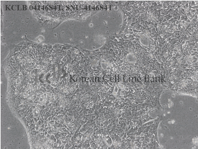 SNU-4146S4T