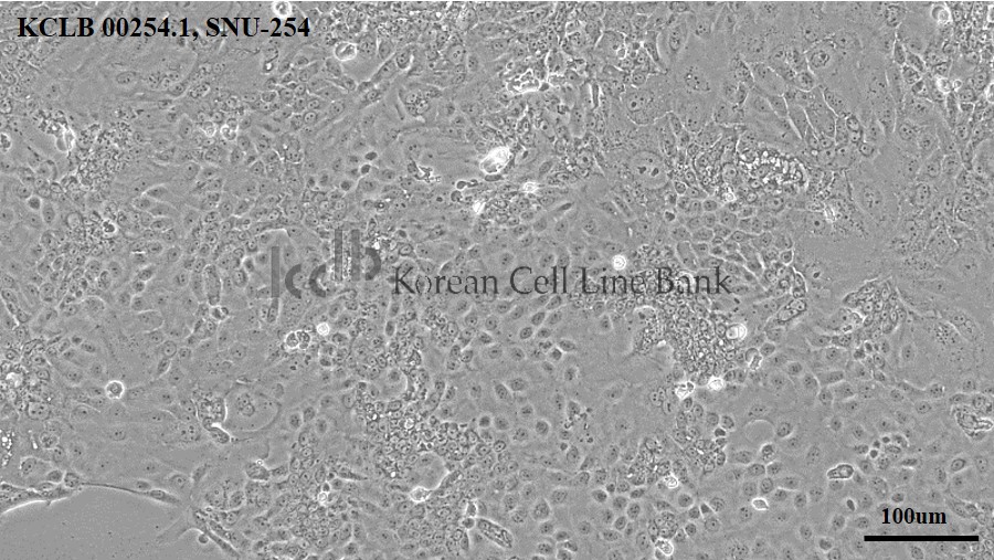 SNU-254