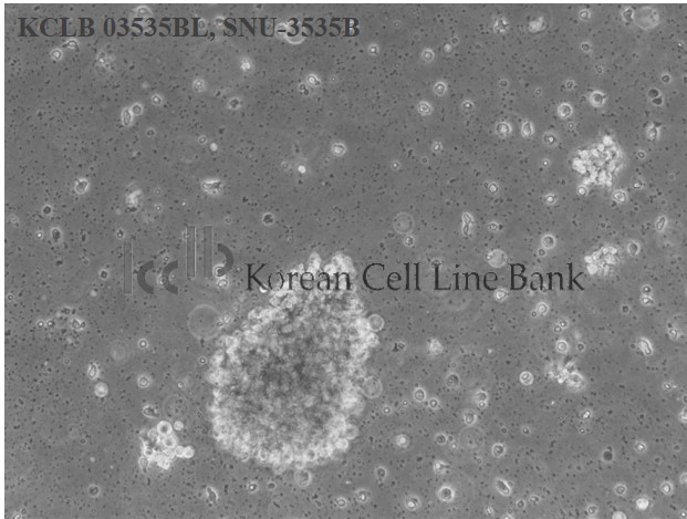 SNU-3535BL