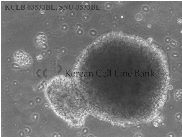 SNU-3533BL