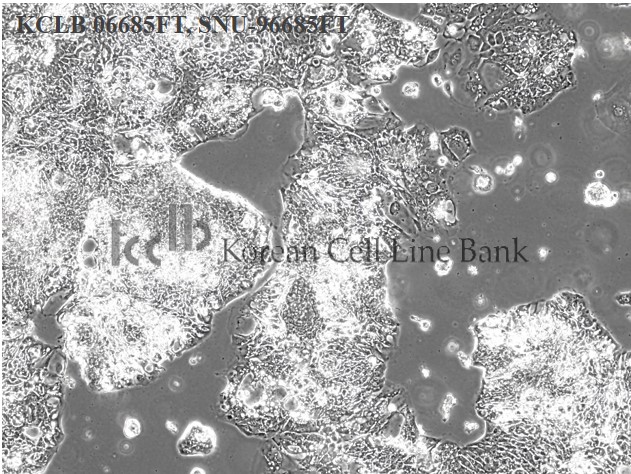 SNU-6685FT