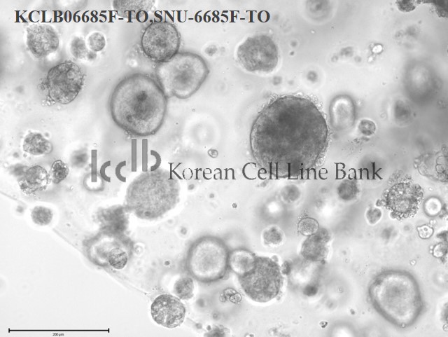 SNU-6685F-TO