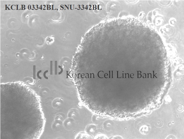 SNU-3342BL
