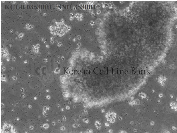SNU-3530BL