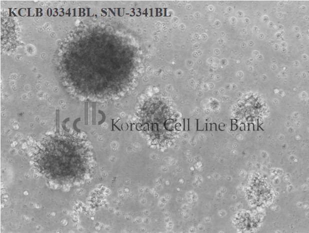 SNU-3341BL