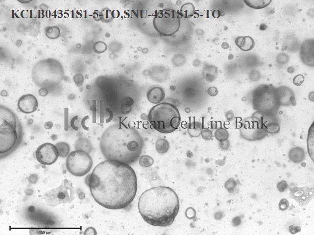 SNU-4351S1-5-TO