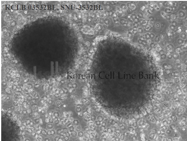 SNU-3532BL