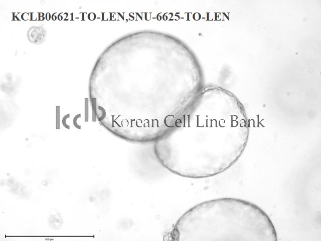SNU-6624-TO-LEN